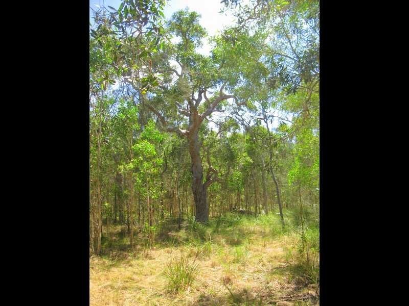 Agnes Water QLD 4677