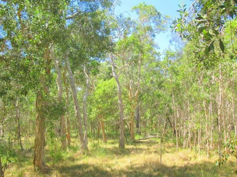 Agnes Water QLD 4677