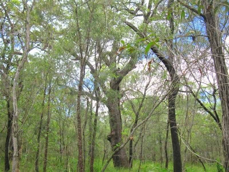 Agnes Water QLD 4677