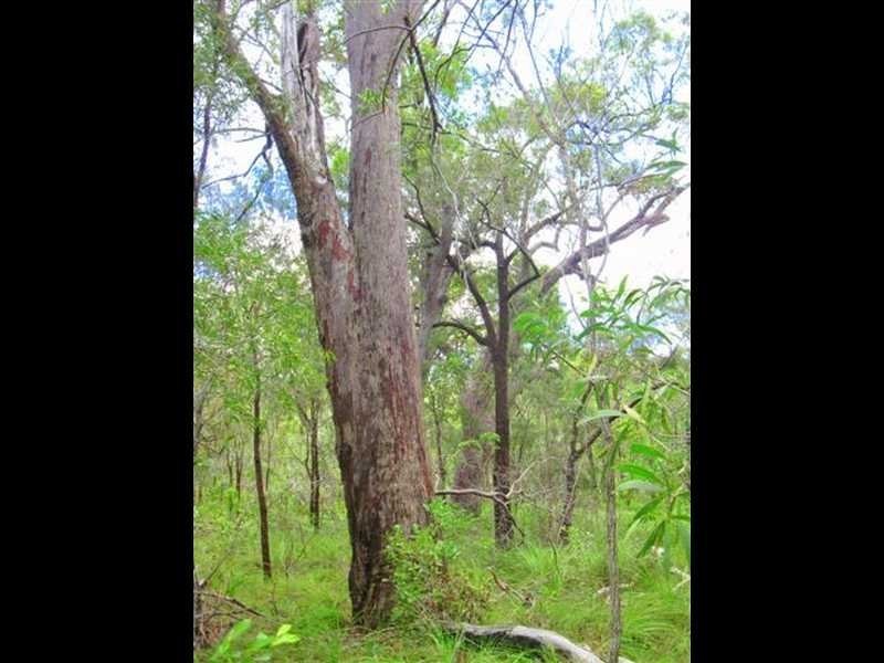 Agnes Water QLD 4677