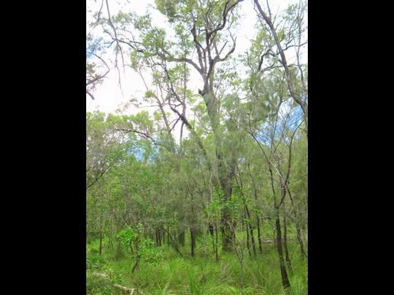 Agnes Water QLD 4677