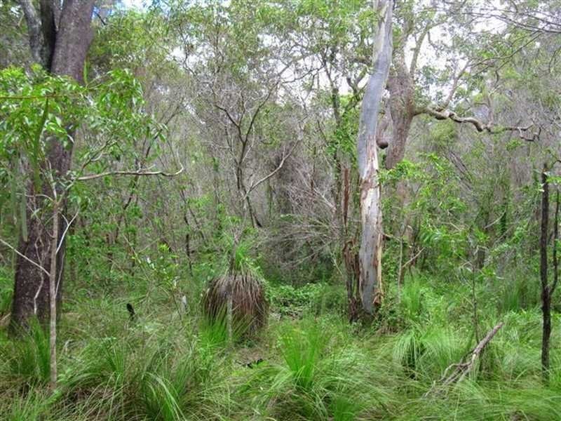 Agnes Water QLD 4677