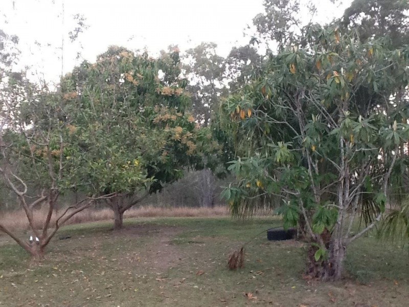 456 Clarke Road, Lowmead QLD 4676