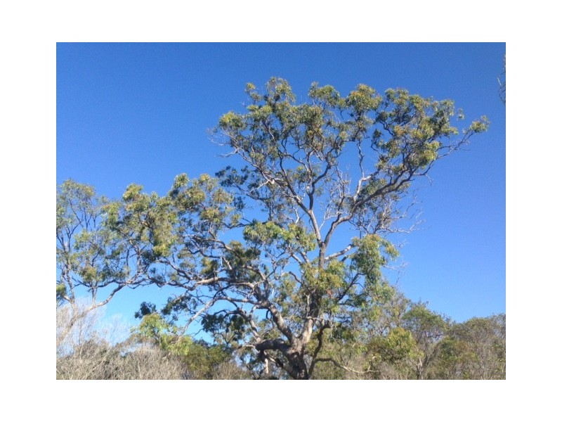 lot 324 Watkins Road, Agnes Water QLD 4677