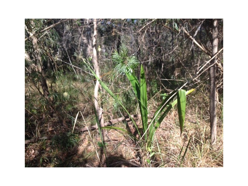 lot 324 Watkins Road, Agnes Water QLD 4677