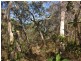 lot 324 Watkins Road, Agnes Water QLD 4677