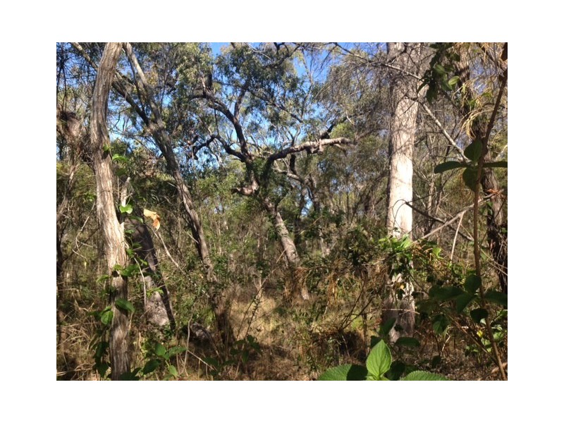 lot 324 Watkins Road, Agnes Water QLD 4677