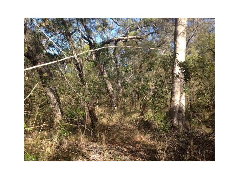 lot 324 Watkins Road, Agnes Water QLD 4677