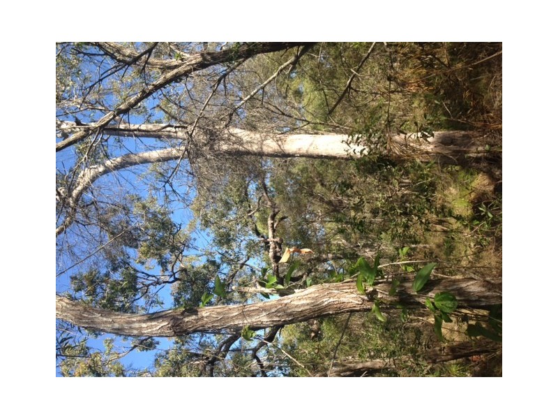 lot 324 Watkins Road, Agnes Water QLD 4677