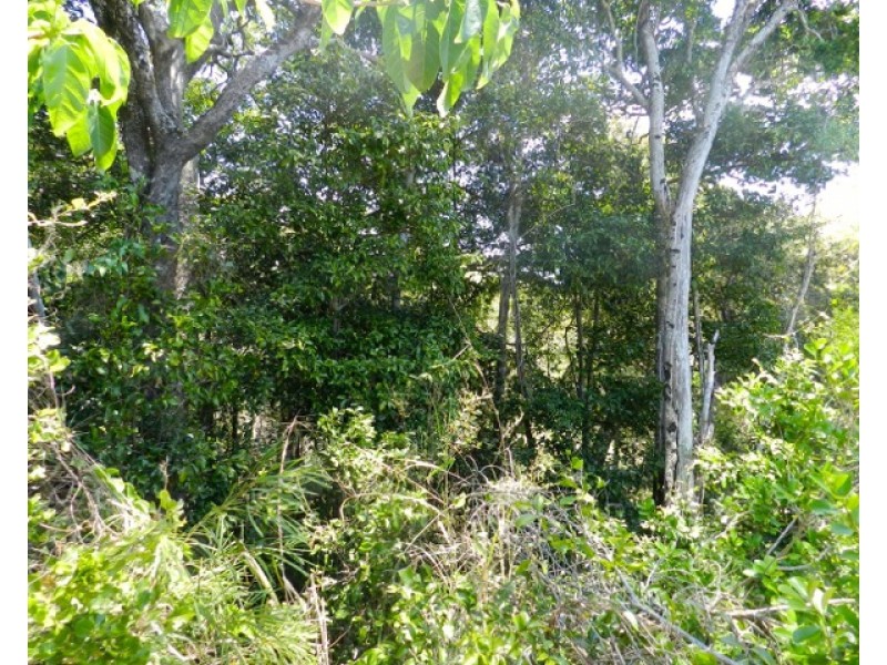 Agnes Water QLD 4677