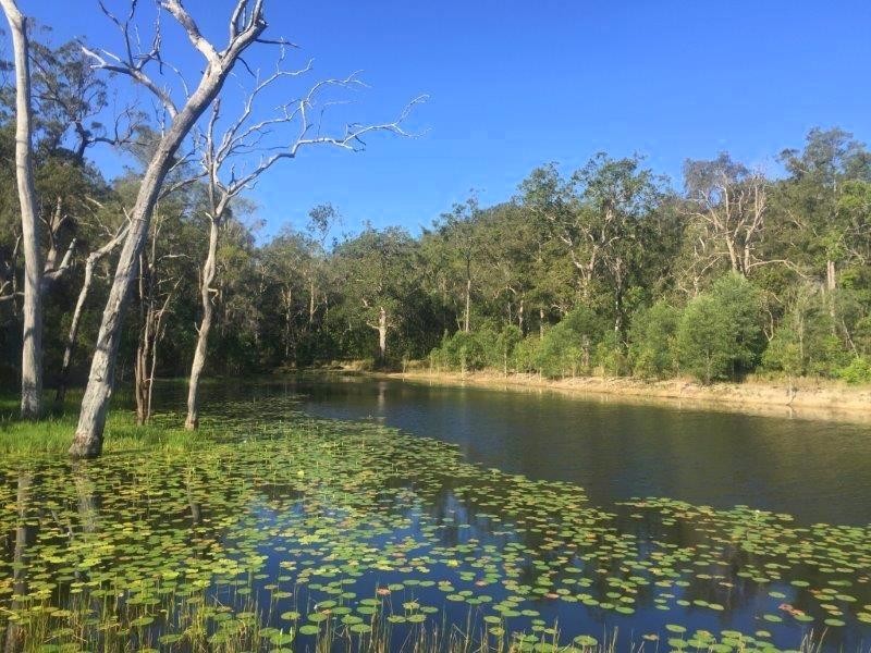 722 Creevey Drive, Captain Creek QLD 4677