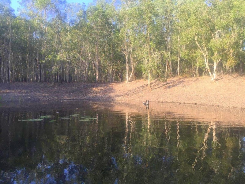 Captain Creek QLD 4677