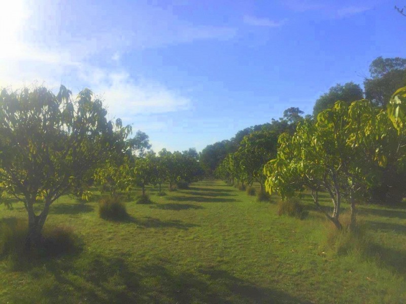 Captain Creek QLD 4677