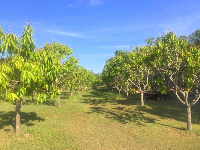 Captain Creek QLD 4677