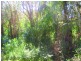 Deepwater QLD 4674