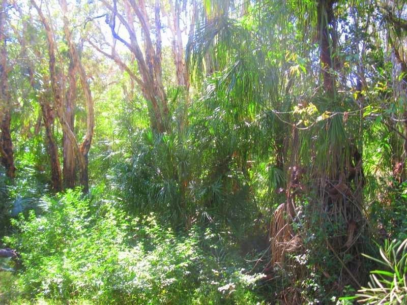 Deepwater QLD 4674