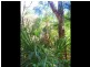 Deepwater QLD 4674
