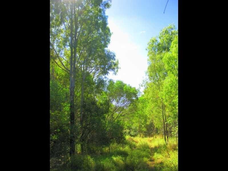 Deepwater QLD 4674