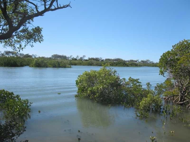 Deepwater QLD 4674