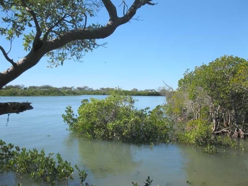 Deepwater QLD 4674