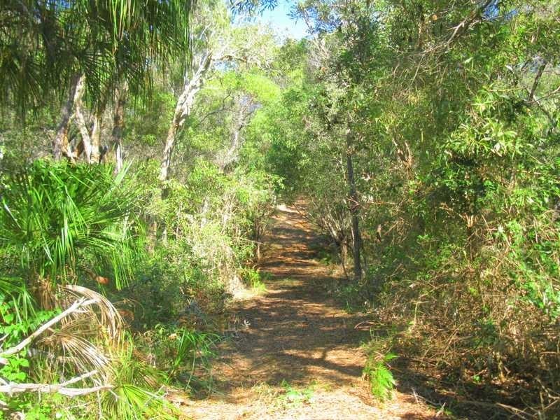 Deepwater QLD 4674