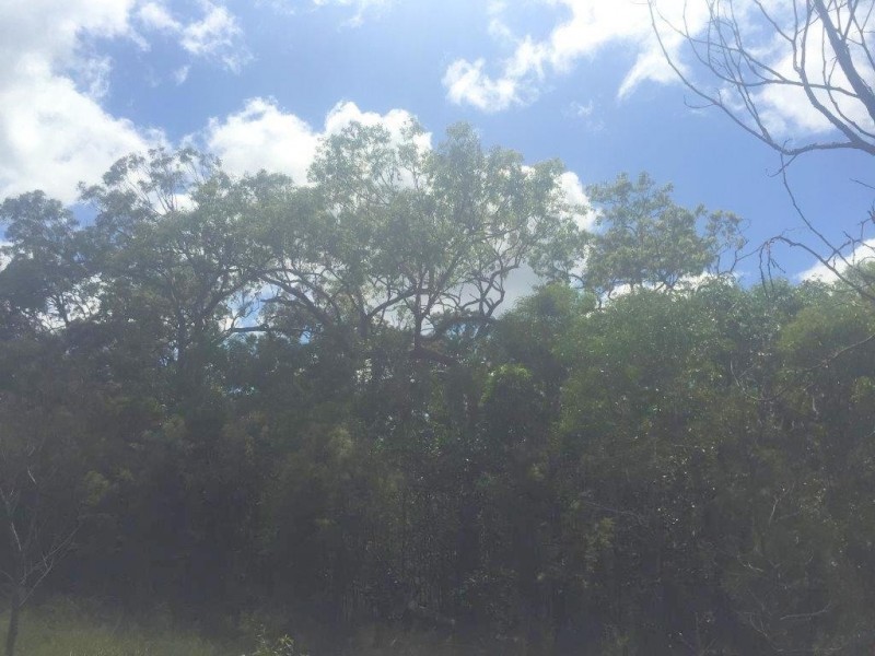 43 BOOTMAKER DR, Round Hill QLD 4677