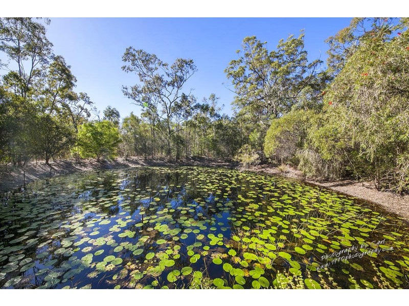 111 BOOTMAKER DR, Round Hill QLD 4677