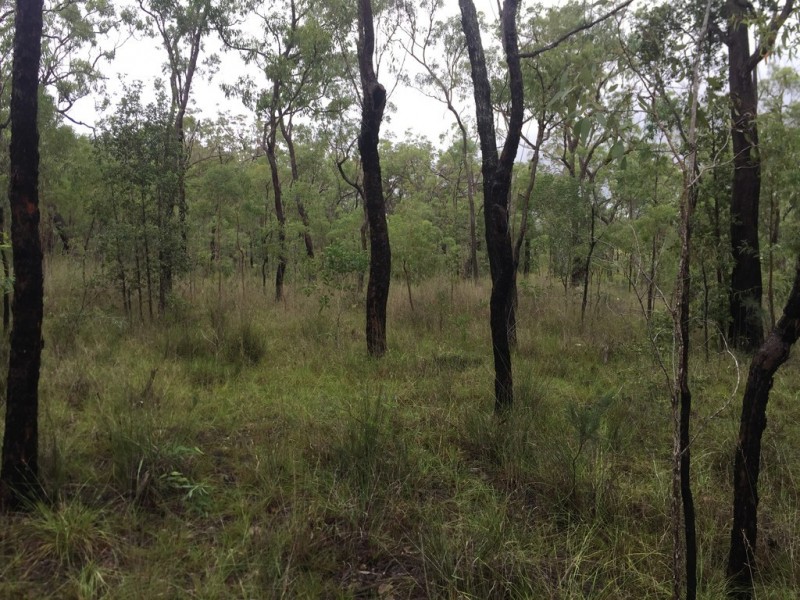 Lot 37 BALDAW RD, Captain Creek QLD 4677