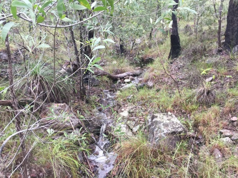 Lot 37 BALDAW RD, Captain Creek QLD 4677