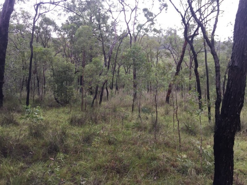 Lot 37 BALDAW RD, Captain Creek QLD 4677