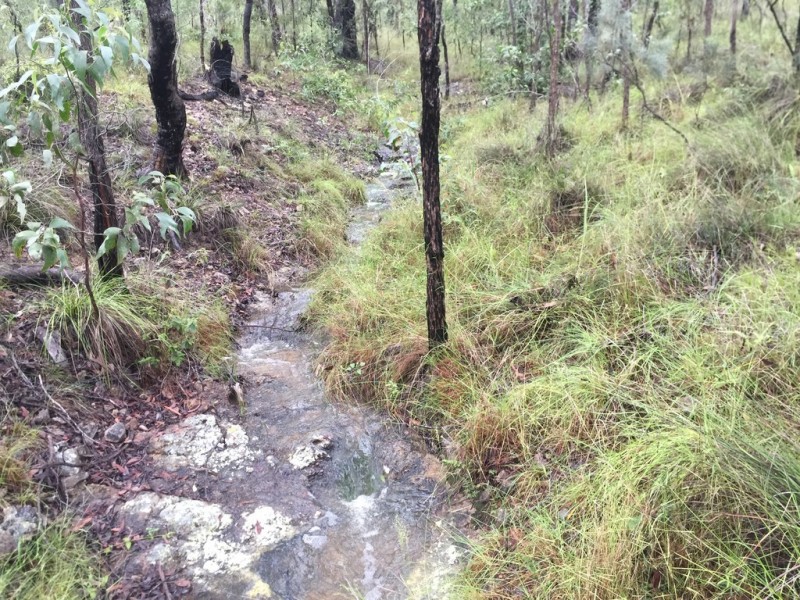 Lot 37 BALDAW RD, Captain Creek QLD 4677