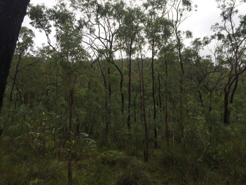 Lot 37 BALDAW RD, Captain Creek QLD 4677