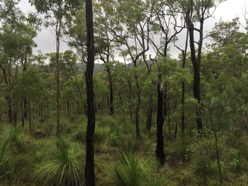 Lot 37 BALDAW RD, Captain Creek QLD 4677