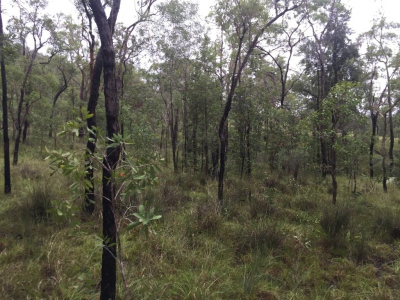 Lot 37 BALDAW RD, Captain Creek QLD 4677