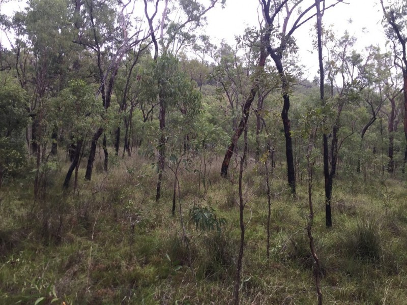 Lot 37 BALDAW RD, Captain Creek QLD 4677