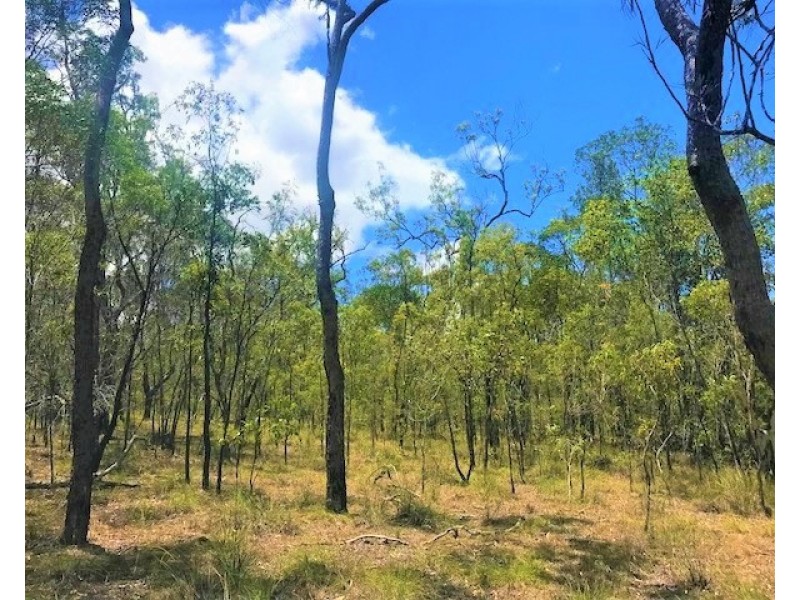 Captain Creek QLD 4677