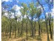 Captain Creek QLD 4677
