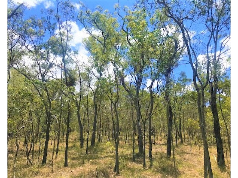 Captain Creek QLD 4677