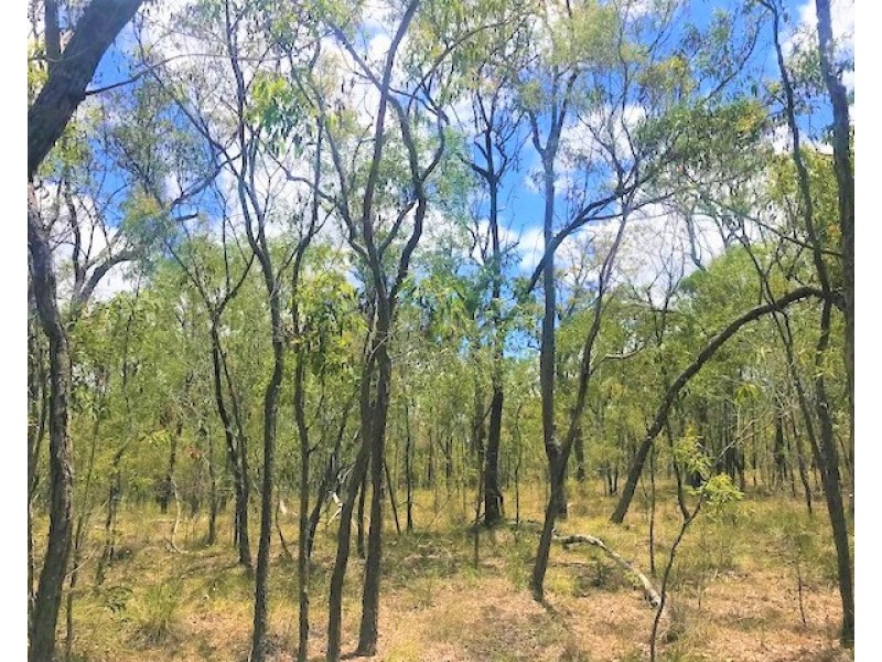 Captain Creek QLD 4677