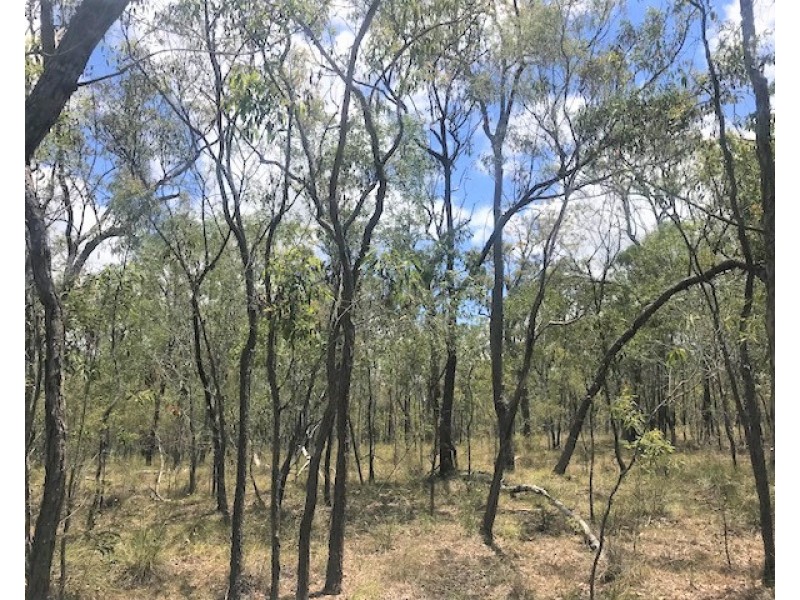Captain Creek QLD 4677