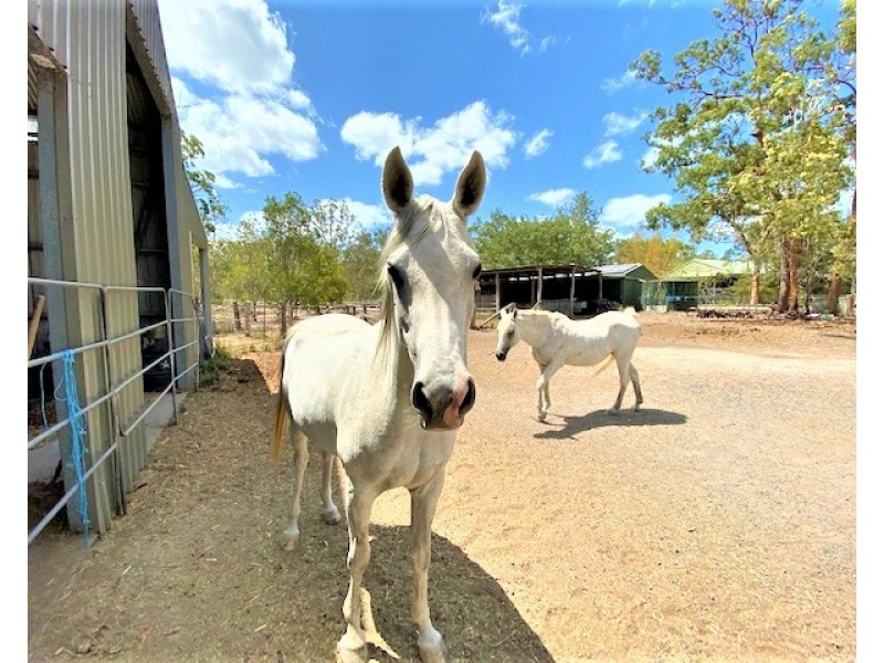 Captain Creek QLD 4677