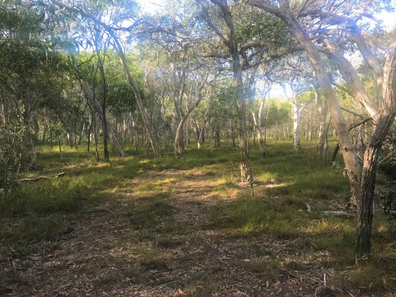 Agnes Water QLD 4677