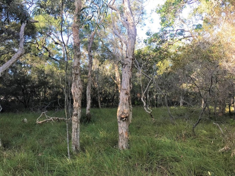 Agnes Water QLD 4677