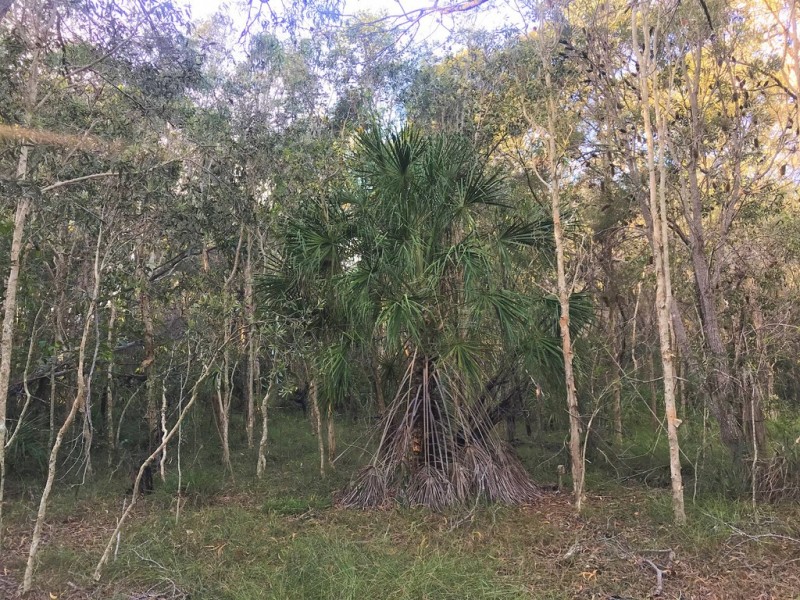 Agnes Water QLD 4677