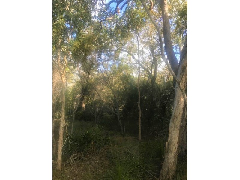 Agnes Water QLD 4677