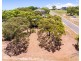 1 BRYANT ST, Agnes Water QLD 4677