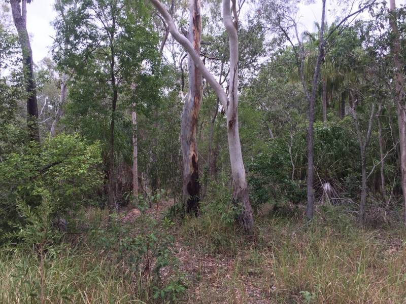 L55 Fitzroy Cres, Agnes Water QLD 4677