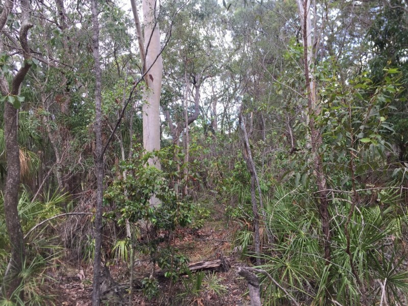 L55 Fitzroy Cres, Agnes Water QLD 4677