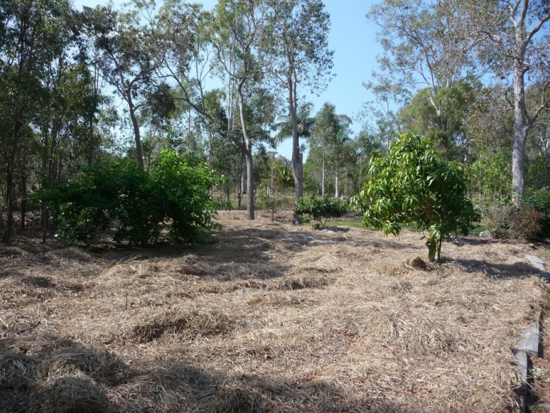 333 INNAMINCKA WAY, Agnes Water QLD 4677