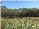 2773 Round Hill Road, Agnes Water QLD 4677